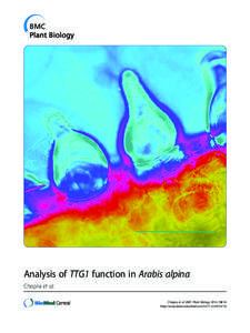 Analysis of TTG1 function in Arabis alpina Chopra et al. Chopra et al. BMC Plant Biology 2014, 14:16 http://www.biomedcentral.com[removed]  Chopra et al. BMC Plant Biology 2014, 14:16