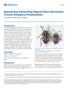 EENY596  Bagrada Bug, Painted Bug, Bagrada Hilaris (Burmeister) (Insecta: Hemiptera: Pentatomidae)1 Eric LeVeen and Amanda C. Hodges2
