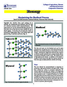 ANR-B8[removed]Bioenergy College of Agriculture, Human and Natural Sciences