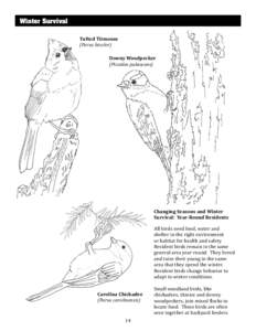 Winter Survival Tufted Titmouse (Parus bicolor) Downy Woodpecker (Picoides pubescens)