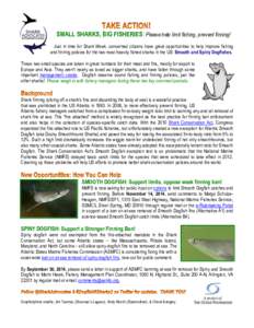Spiny dogfish / Shark / Atlantic States Marine Fisheries Commission / Shark sanctuary / Portuguese dogfish / Fish / Sharks / Shark finning
