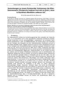 Gausmann & Büscher: Ein Dormunder Vorkommen der Efeu-Sommerwurz (Orobanche hederae), einer in Nordrhein-Westfalen seltenen Art