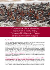 Conservation of the Wintering Population of the Globally Threatened Red-breasted Goose (Branta ruficollis) in Bulgaria Dear friends, With this newsletter we aim to introduce you briefly to our work and achievements in th