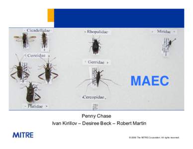 MAEC Penny Chase Ivan Kirillov – Desiree Beck – Robert Martin © 2009 The MITRE Corporation. All rights reserved.  Why Do We Need to Develop Standards for