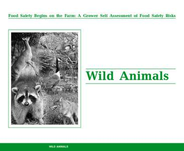 Food Safety Begins on the Farm: A Grower Self Assessment of Food Safety Risks  Wild Animals WILD ANIMALS