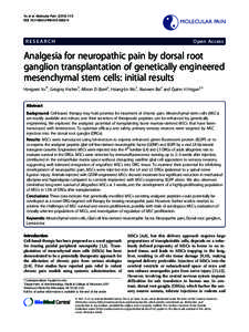 Analgesia for neuropathic pain by dorsal root ganglion transplantation of genetically engineered mesenchymal stem cells: initial results