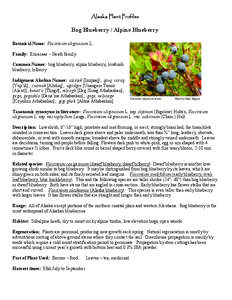 Alaska Plant Profiles  Bog Blueberry / Alpine Blueberry Botanical Name: Vaccinium uliginosum L. Family: Ericaceae – Heath family Common Names: bog blueberry, alpine blueberry, lowbush