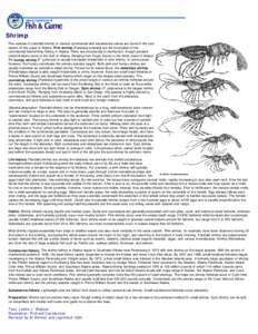 Shrimp: Wildlife Notebook Series - Alaska Department of Fish and Game