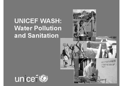 UNICEF WASH: Water Pollution and Sanitation Water and Sanitation MDG Progress