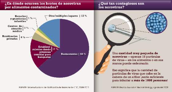 Lado izquierdo: Gráfica circular  Lado derecho: Cabeza de alfiler vista por una lupa que permite ver las partículas de norovirus.