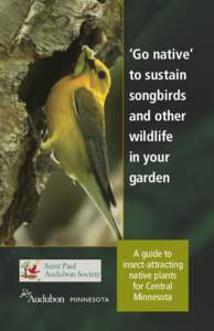 ‘Go native’ to sustain songbirds and other wildlife in your