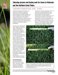 Microsoft Word - Choosing grasses for lawns v8.doc