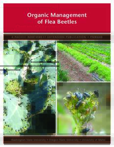 Organic Management of Flea Beetles A PA C I F I C N O R T H W E S T E X T E N S I O N P U B L I C AT I O N • P N WWashington State University • Oregon State University • University of Idaho