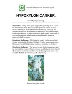 Forest Health Protection, Southern Region  HYPOXYLON CANKER, caused by Hypoxylon spp. Importance. - Fungi in the genus Hypoxylon generally cause a white rot of hardwood slash. However, some species are known to cause
