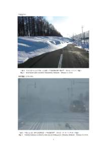 主要災害調査第49号；2014年2月の南岸低気圧による広域雪氷災害 及び年の雪氷災害に関する調査報告;Research Report on Wide Area Snow Disasters associated  with South-Coast Cycl