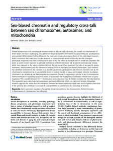 Epigenetics / Molecular genetics / Sex / Y chromosome / Sex-determination system / X-inactivation / SRY / Chromosome / X chromosome / Genetics / Biology / Cytogenetics