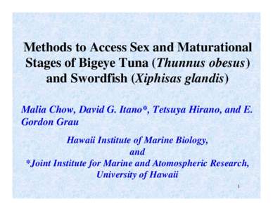 Methods to Access Sex and Maturational Stages of Bigeye Tuna (Thunnus obesus) and Swordfish (Xiphisas glandis) Malia Chow, David G. Itano*, Tetsuya Hirano, and E. Gordon Grau Hawaii Institute of Marine Biology,