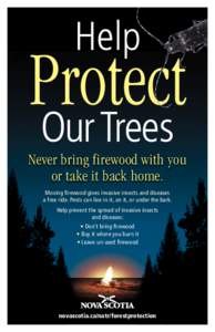 Help  Protect Our Trees  Never bring firewood with you