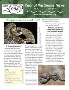 Diamondback rattlesnake / Crotalus adamanteus / Diamond rattlesnake / Snake / Pit viper / Crotalus lepidus / Crotalus cerastes / Rock rattlesnake / Crotalus atrox / Squamata / Venomous snakes / Rattlesnake