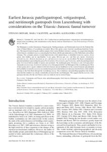 Earliest Jurassic patellogastropod, vetigastropod, and neritimorph gastropods from Luxembourg with considerations on the Triassic–Jurassic faunal turnover STEFANO MONARI, MARA VALENTINI, and MARIA ALESSANDRA CONTI Mona