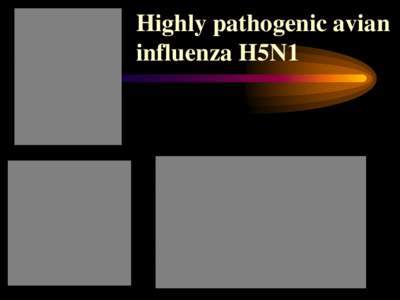 Highly pathogenic avian influenza H5N1 HPAI outbreaks by continent: excludes Indonesia  Human cases by country over time