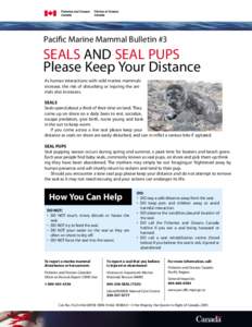 Pacific Marine Mammal Bulletin #3  SEALS AND SEAL PUPS Please Keep Your Distance As human interactions with wild marine mammals increase, the risk of disturbing or injuring the animals also increases.
