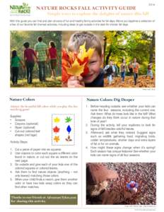 NATURE ROCKS FALL ACTIVITY GUIDE[removed]Simple ways to explore the delights of nature this fall