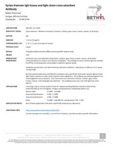 Syrian Hamster IgG-heavy and light chain cross-adsorbed Antibody Rabbit Polyclonal Antigen Affinity Purified Catalog No. A140-224A