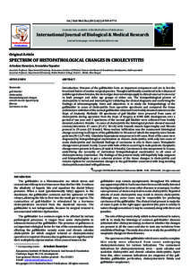 Gastroenterology / Digestive system / Gallbladder disorders / Abdomen / Organs / Cholecystitis / Rokitansky-Aschoff sinuses / Gallbladder / Gallstone / Medicine / Anatomy / Hepatology