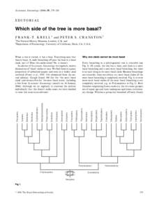 Systematic Entomology[removed], 279–281  EDITORIAL Which side of the tree is more basal? F R A N K - T . K R E L L 1 and P E T E R S . C R A N S T O N 2