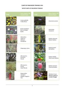 PLANTS OF INGLEWOOD TRIANGLE 2014 NATIVE PLANTS OF INGLEWOOD TRIANGLE Image  Genus, Species, and