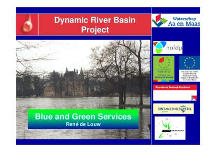 Dynamic River Basin Project Blue and Green Services René de Louw