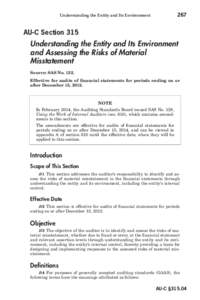 267  Understanding the Entity and Its Environment AU-C Section 315