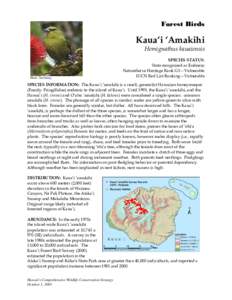 Hawaiian honeycreepers / Hawaii Amakihi / Kauaʻi ʻAmakihi / Greater ʻAmakihi / Avian malaria / Endemic birds of Hawaii / Fauna of the United States / Hemignathus / Fringillidae