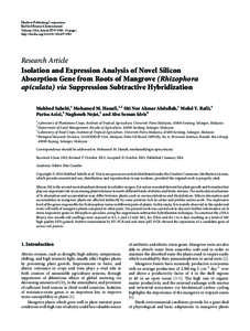 Isolation and Expression Analysis of Novel Silicon Absorption Gene from Roots of Mangrove (Rhizophora apiculata) via Suppression Subtractive Hybridization