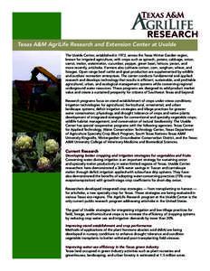 Texas A&M AgriLife Research and Extension Center at Uvalde The Uvalde Center, established in 1972, serves the Texas Winter Garden region, known for irrigated agriculture, with crops such as spinach, potato, cabbage, onio
