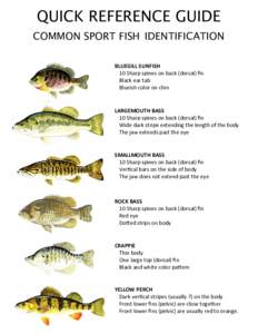 Common Sport Fish Guide ID
