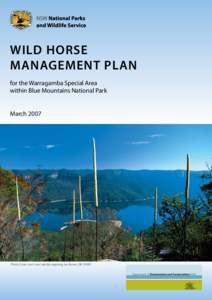 Feral horses / Geography of Sydney / Warragamba Dam / Lake Burragorang / Warragamba /  New South Wales / Blue Mountains National Park / Brumby / Sydney Catchment Authority / Department of Environment /  Climate Change and Water / States and territories of Australia / Geography of New South Wales / New South Wales