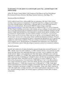 Elevated CO2 initially stimulates photosynthesis in sweetgum, but effects dissipate after a decade