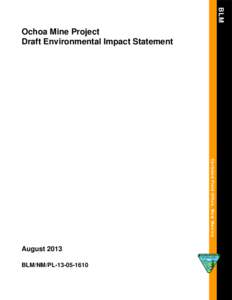 Ochoa Mine Project Draft Environmental Impact Statement