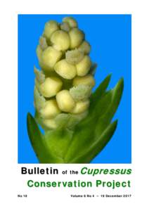Bulletin of the Cupressus Conser vation Project No 16 Volume 6 No 4 ─ 19 December 2017