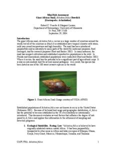 Mini Risk Assessment Giant African Snail, Achatina fulica Bowdich [Gastropoda: Achatinidae] Robert C. Venette & Margaret Larson Department of Entomology, University of Minnesota St. Paul, MN 55108