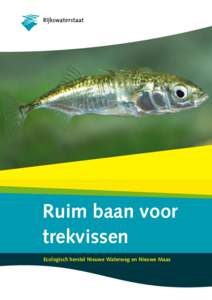 Ruim baan voor trekvissen Ecologisch herstel Nieuwe Waterweg en Nieuwe Maas Nederland wil schoon oppervlaktewater waar vissen goed in gedijen. Dat geldt ook voor de Nieuwe Waterweg en de Nieuwe Maas, waarin het Rotterda