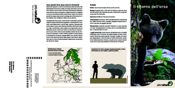 Ecco perché l’orso deve vivere in Svizzera! Numerosi toponimi e stemmi testimoniano della presenza del plantigrado in Svizzera e della sua lunga convivenza con l’essere umano. L’orso è parte del nostro patrimonio