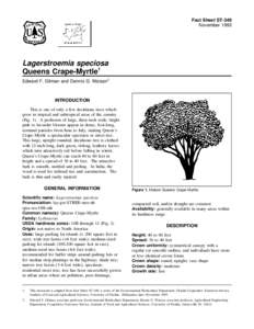 Fact Sheet ST-349 November 1993 Lagerstroemia speciosa Queens Crape-Myrtle1 Edward F. Gilman and Dennis G. Watson2