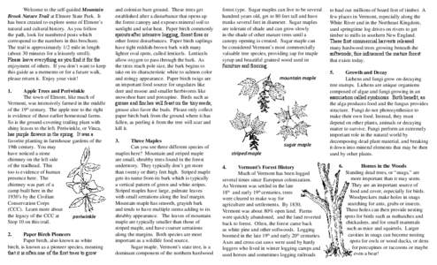 Ornamental trees / Forest ecology / Appalachian Mountains / Syrup / Forests of the United States / Acer saccharum / Cove / Bark / Vermont / Flora of the United States / Flora of North America / Flora