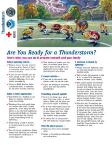 Thunderstorm  Are You Ready for a Thunderstorm? Here’s what you can do to prepare yourself and your family Before lightning strikes— ✔ Keep an eye on the sky. Look for