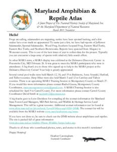 Maryland Amphibian & Reptile Atlas A Joint Project of The Natural History Society of Maryland, Inc. & the Maryland Department of Natural Resources March 2011 Newsletter