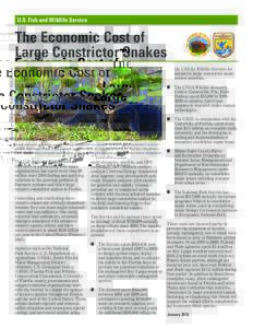 U.S. Fish and Wildlife Service  The Economic Cost of Large Constrictor Snakes photo: Lori Oberhofer, National Park Service