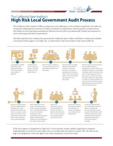 High-Risk-Audit-Process-FLOW